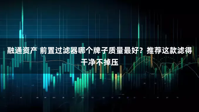 融通资产 前置过滤器哪个牌子质量最好？推荐这款滤得干净不掉压